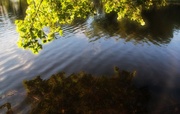15th Sep 2013 - Lake Reflection 