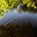 Lake Reflection  by digitalrn