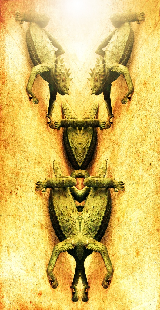 Temple Toads by joysfocus
