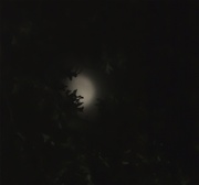14th Sep 2013 - Good Night Moon