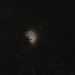 Good Night Moon by mzzhope