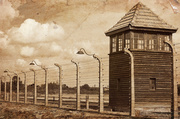 15th Sep 2013 - Auschwitz-Birkenau concentration camp