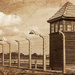 Auschwitz-Birkenau concentration camp by walia
