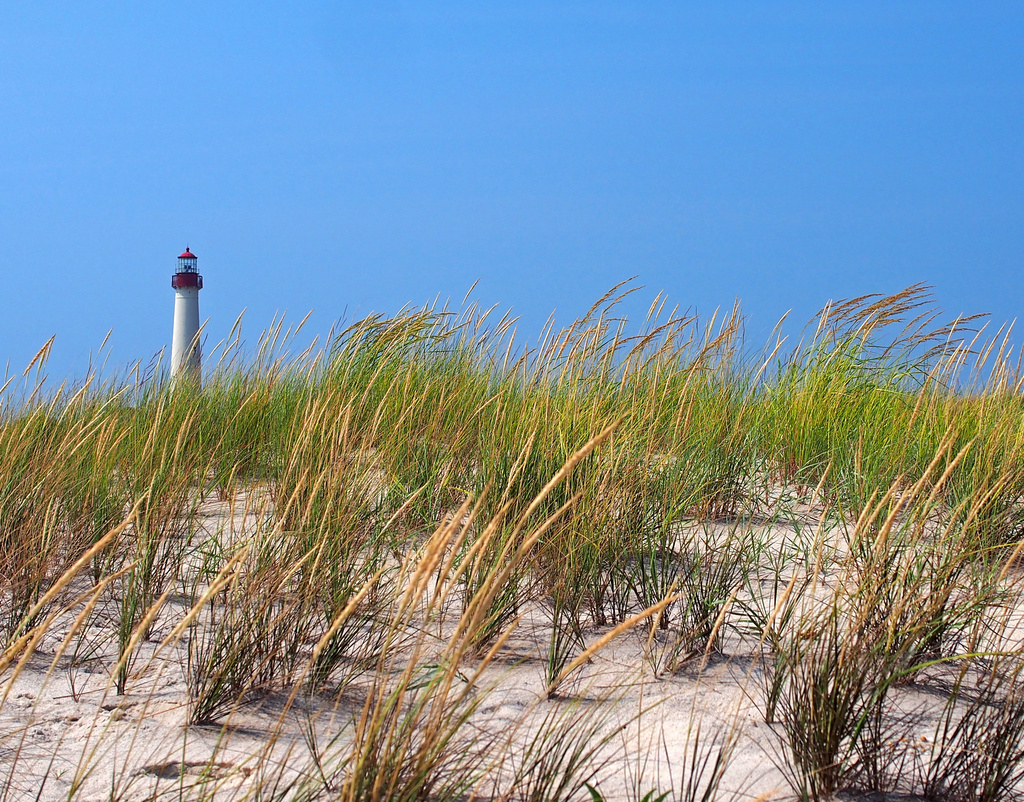 Cape May Lighthouse and Sand Dune  by tosee