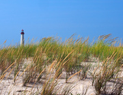 10th Sep 2013 - Cape May Lighthouse and Sand Dune 
