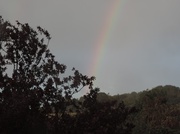 16th Sep 2013 - rainbow