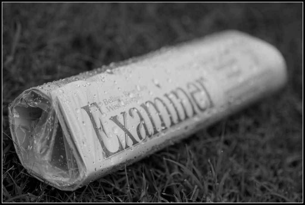 The Examiner by jamibann