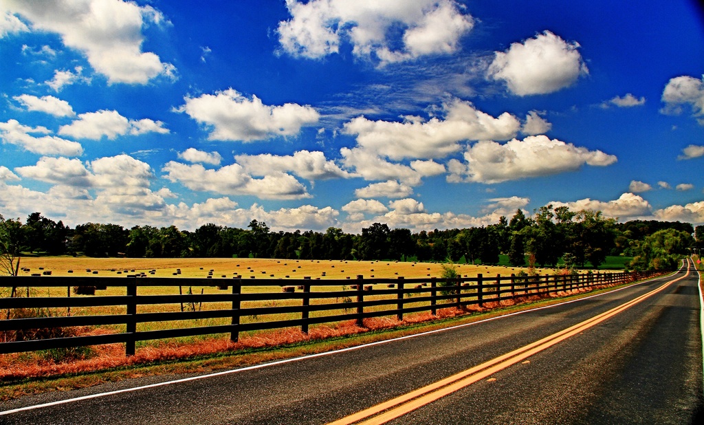 The Long Road by sbolden