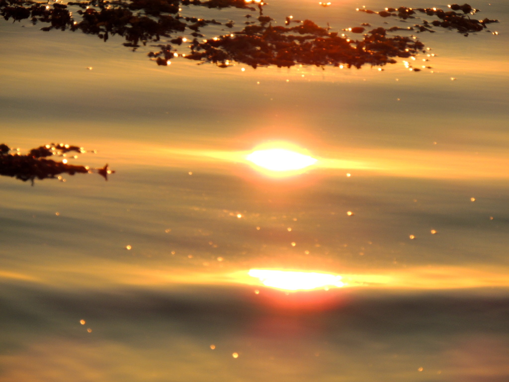 Sunset Reflections by dianezelia