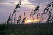 20th Aug 2013 - Oak Island - sunset 05