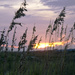 Oak Island - sunset 05 by hjbenson