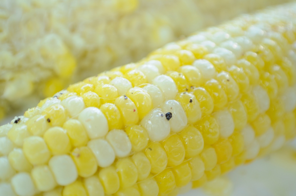 Corn by dora