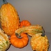 Day 104 Gourds by rminer