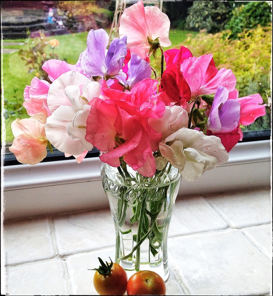 Last of my sweet peas and two tomatoes! by craftymeg