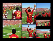 21st Jun 2013 - USC fan