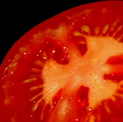 16th Sep 2013 - red tomato