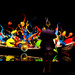 Photographer at Chihuly Gardens  by jgpittenger