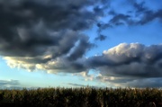 17th Sep 2013 - Cloud Cover