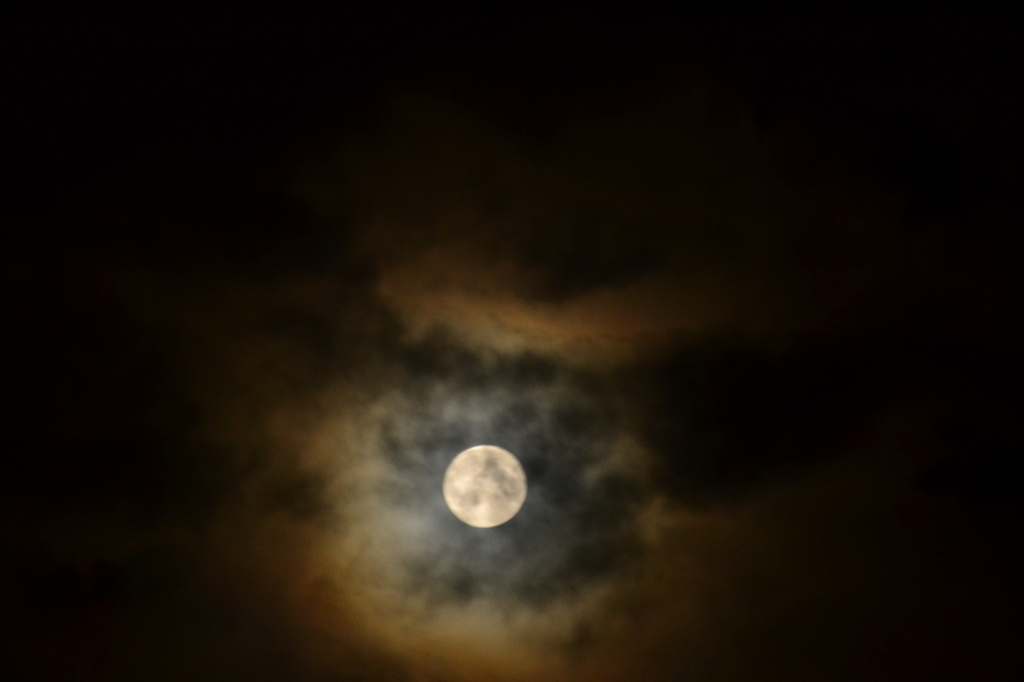 Moon lit night by ziggy77