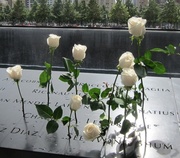 9th Sep 2013 - Ground Zero