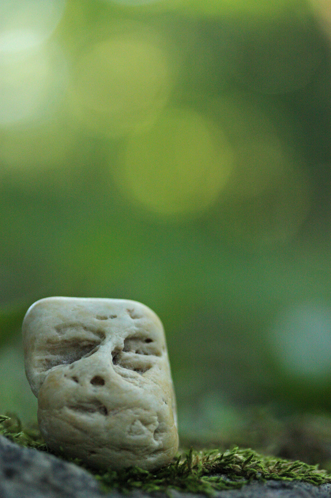 Stone Face by mzzhope