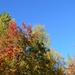 A beautiful autumn day by kanelipulla