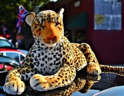 19th Sep 2013 - Jaguar Week Has Concluded!