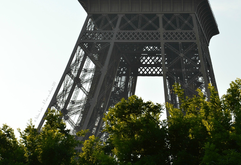 Iron & trees by parisouailleurs