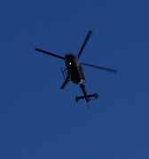 18th Sep 2013 - Chopper