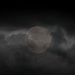 In The Moonlight by digitalrn