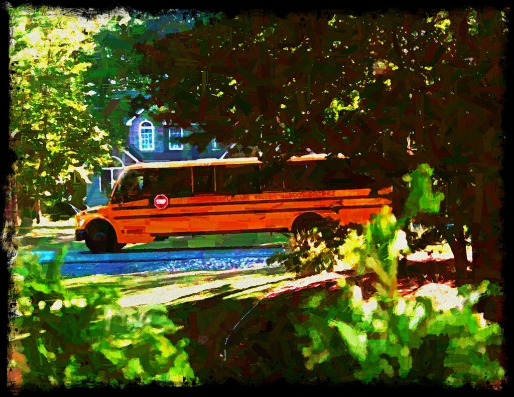 School Bus by olivetreeann