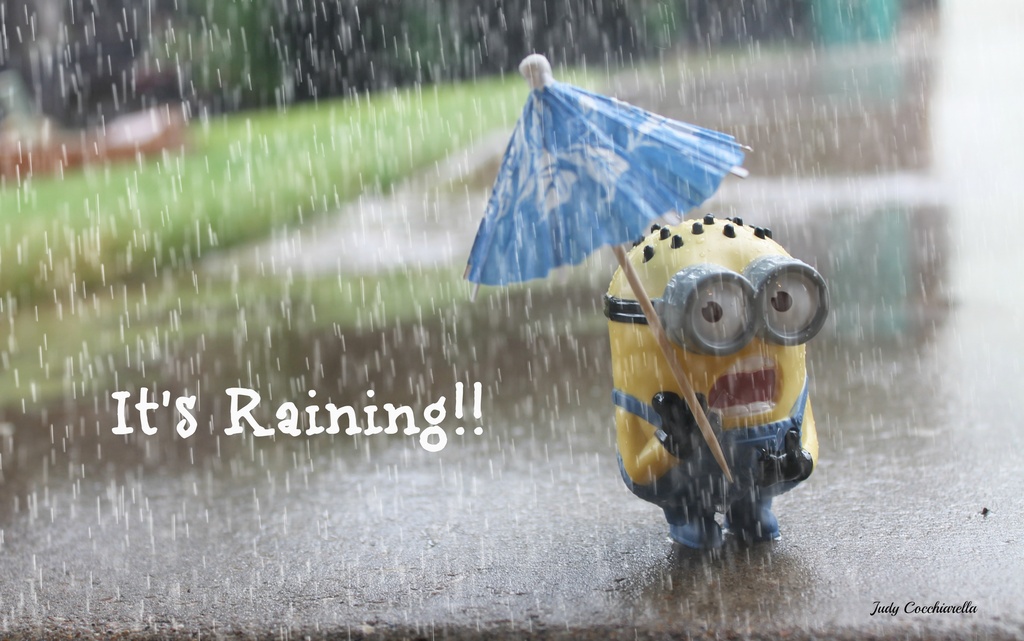 It's raining! by judyc57