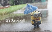 20th Sep 2013 - It's raining!