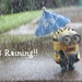 It's raining! by judyc57