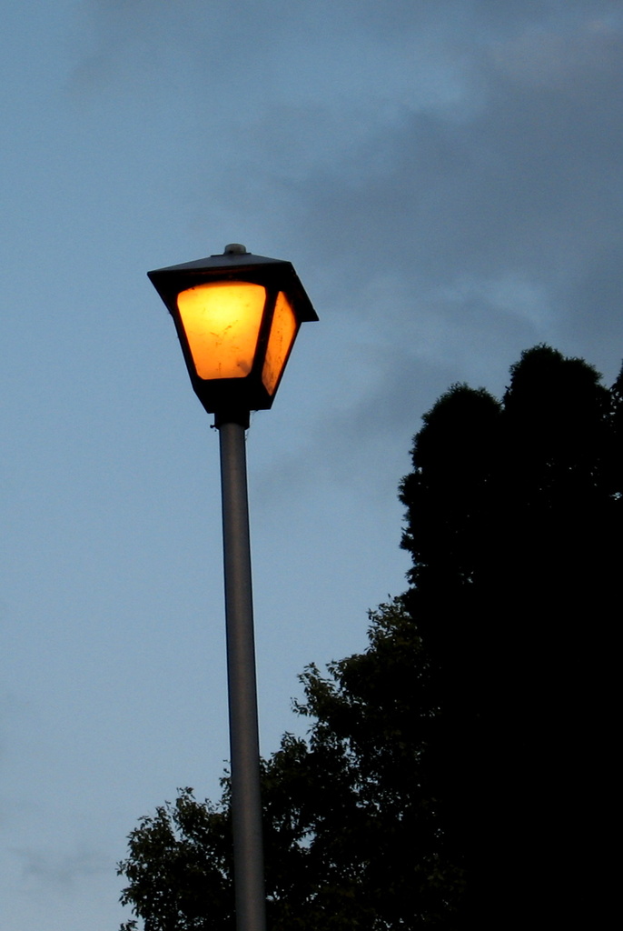 Night Light by linnypinny