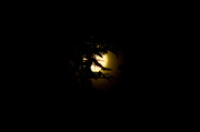18th Sep 2013 - My Moon Shot