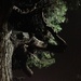 Night Tree by msfyste