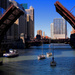 Chicago Boat Run 2013 by taffy