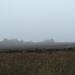 hill fog by roachling