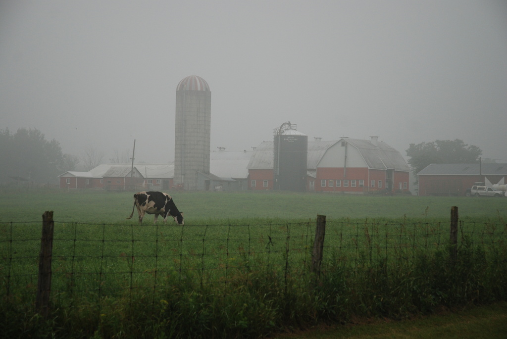 Peaceful Glengarry morning by farmreporter