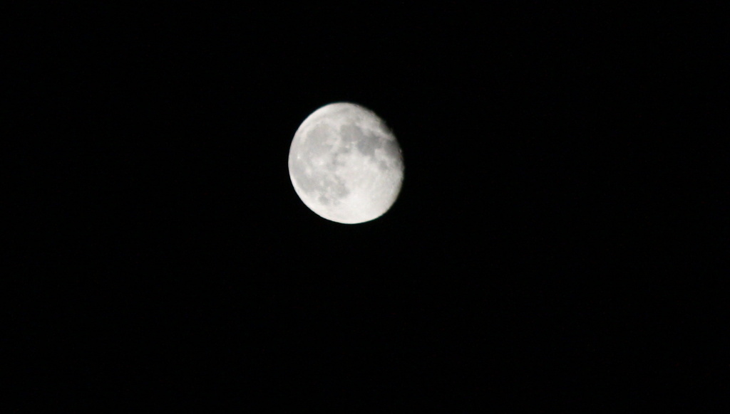 Last night's moon by bruni