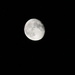 Last night's moon by bruni