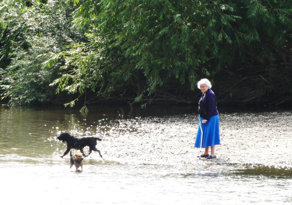 Going for a paddle  by beryl