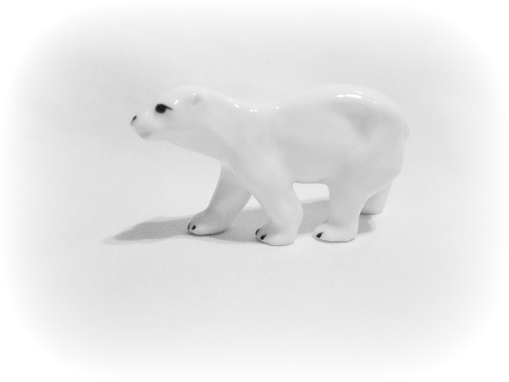Polar Bear by mcsiegle
