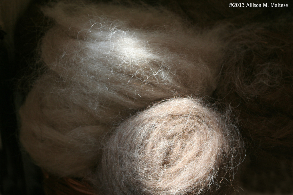 Wool by falcon11