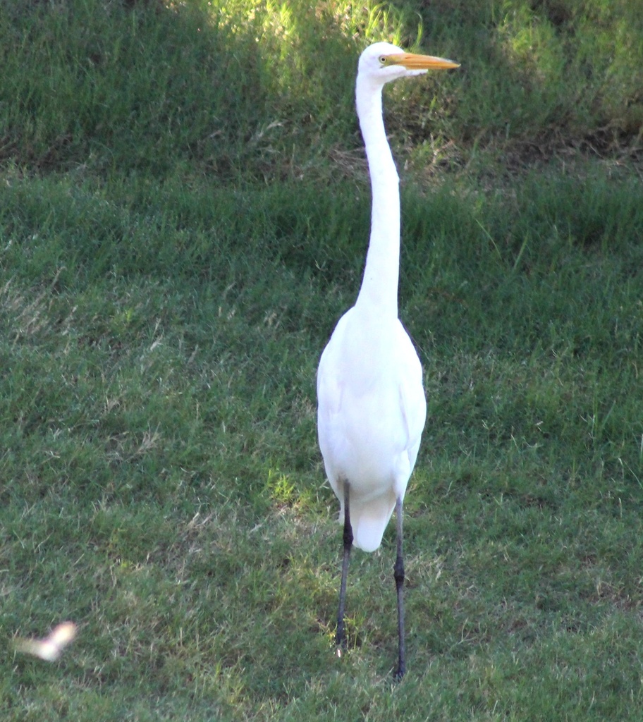 At the pond by judyc57