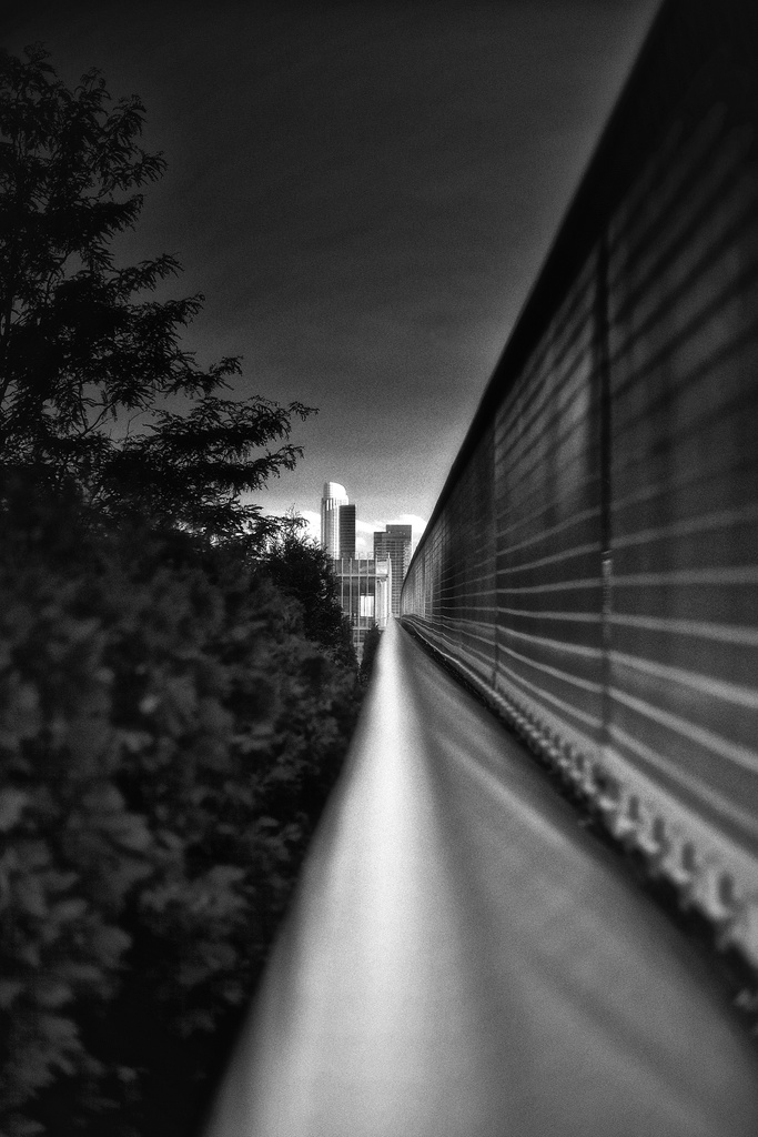 Leading to the Art Institute by taffy