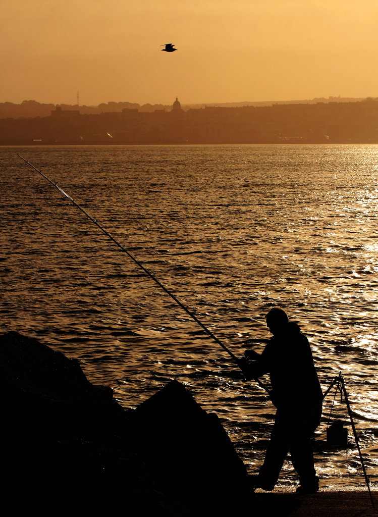 Fishing at dusk by shepherdmanswife