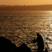 Fishing at dusk by shepherdmanswife