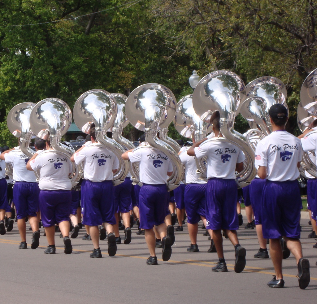 The Pride of Wildcat Land -- from the rear  by mcsiegle